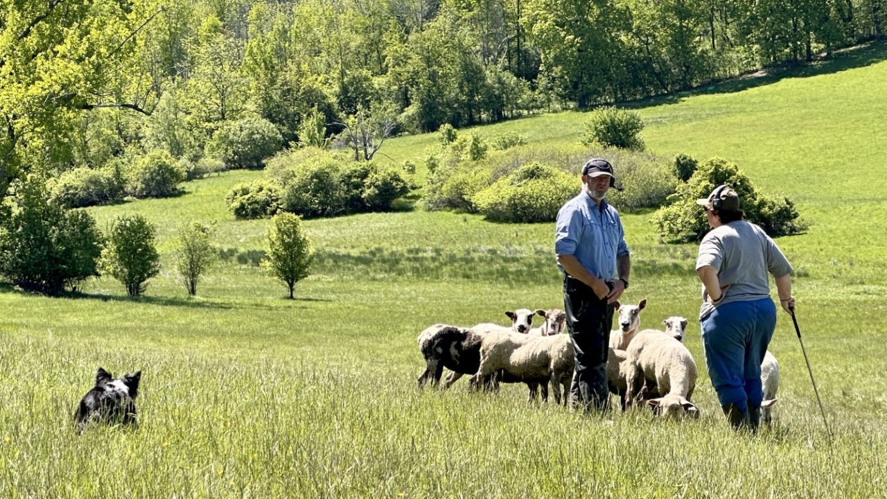 Attend educational events, clinics & webinars clinic2025.jpg