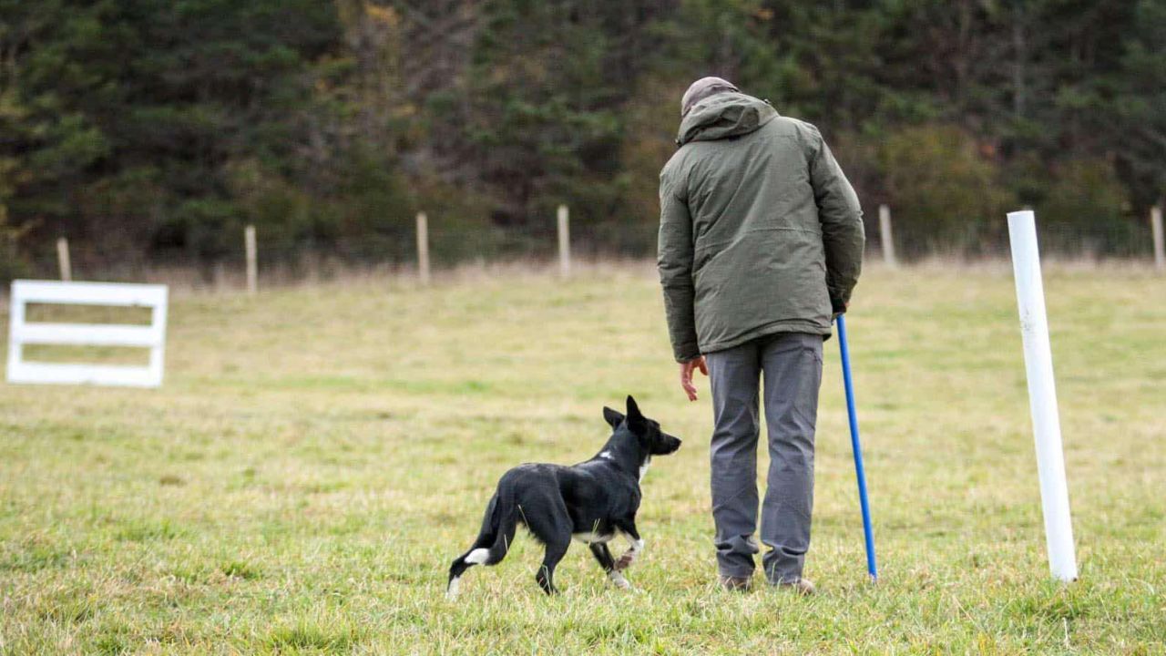 Compete in trials from
beginner to advanced levels slider2-3.jpg