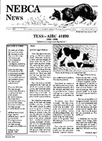 1990-4.jpg