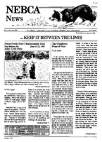 1991-5.jpg