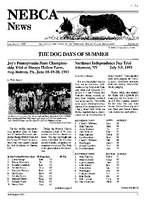 1993-4.jpg