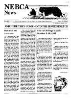 1993-5.jpg