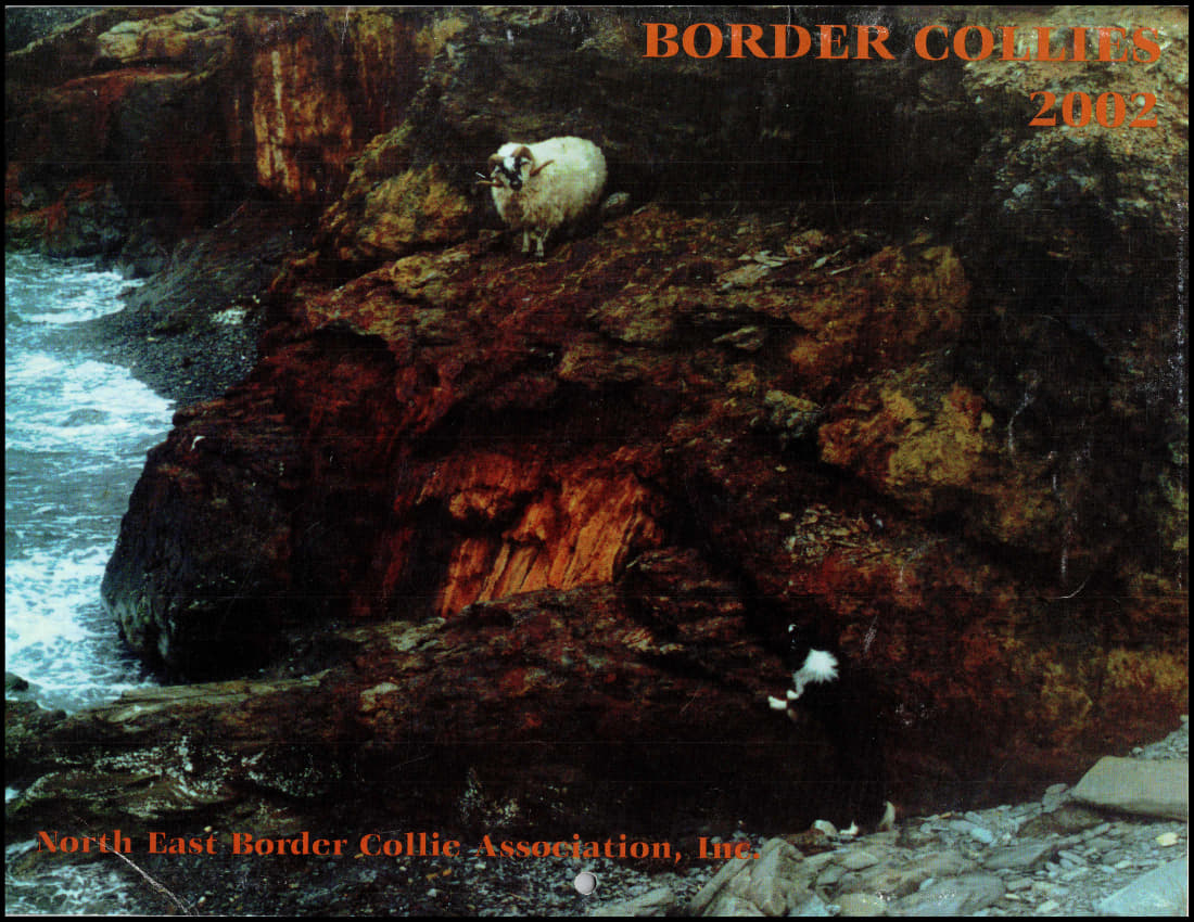 paused 2002-cov_1.jpg