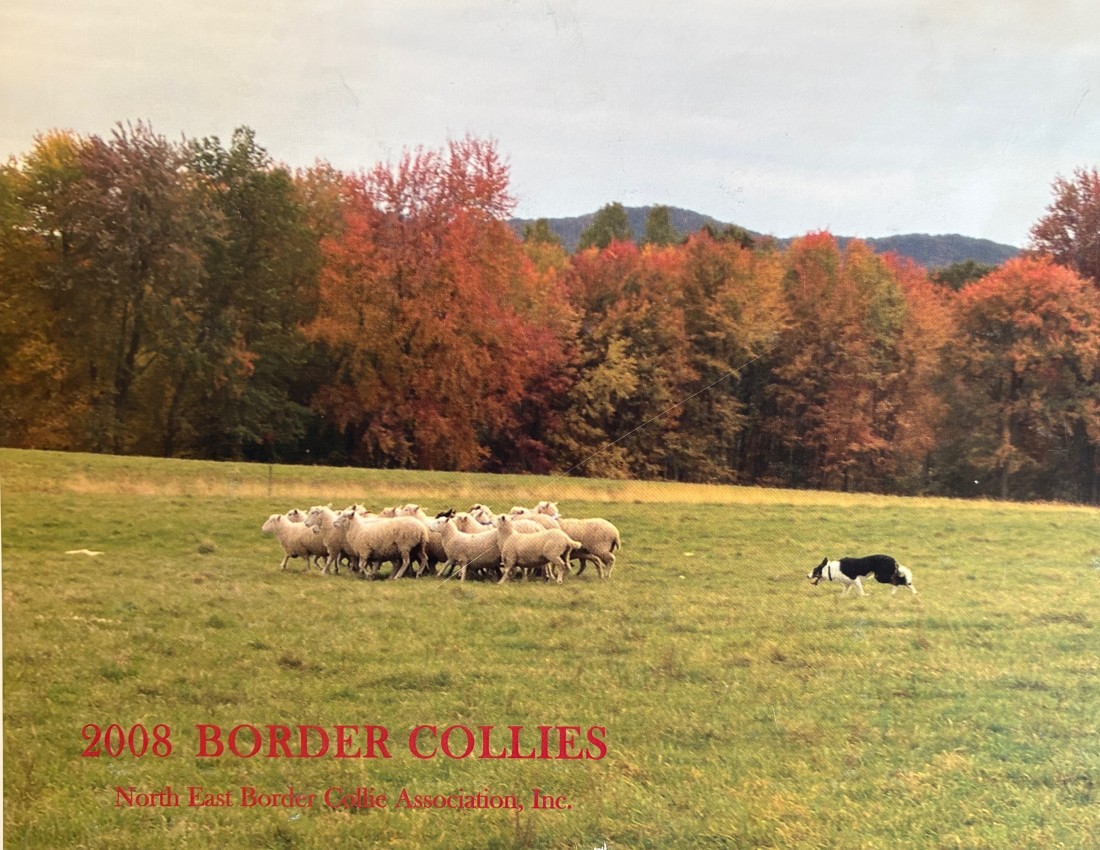 paused 2008-cov_1.jpg