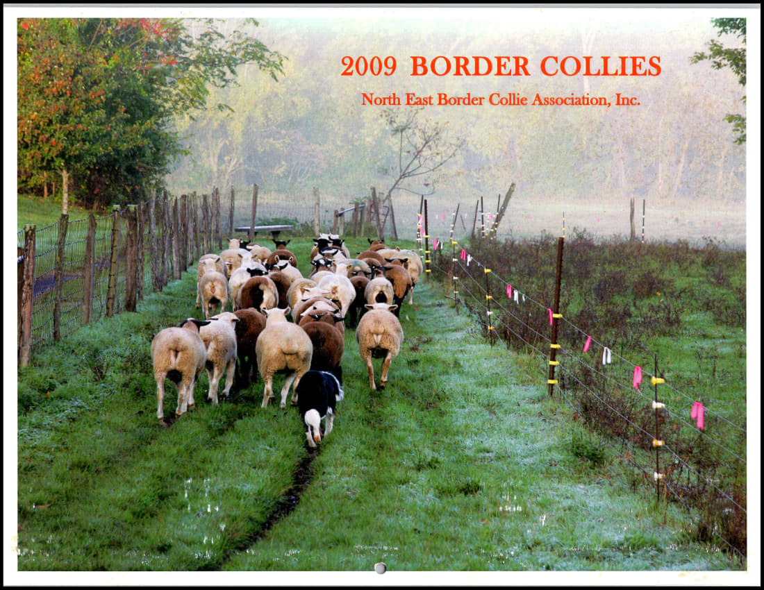 paused 2009-cov_1.jpg