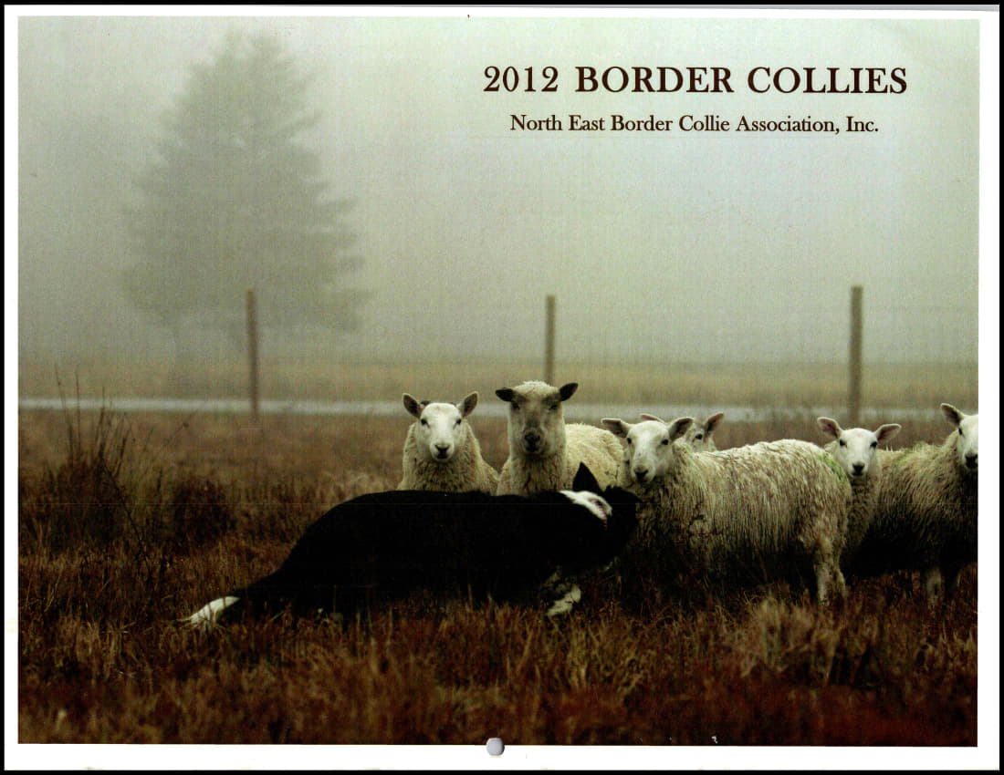 paused 2012-cov_1.jpg