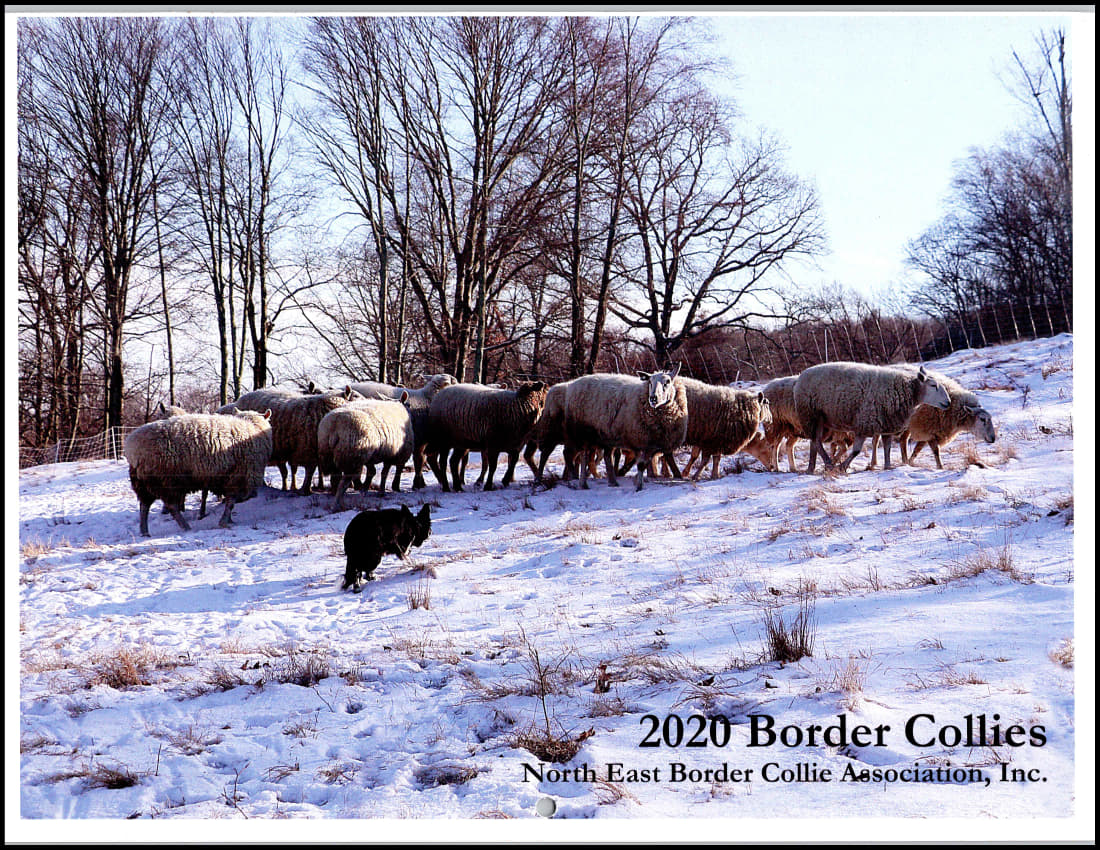 paused 2020-cov_1.jpg