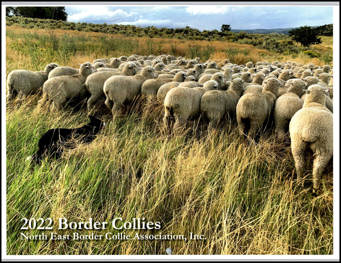 paused 2022-cov_1.jpg