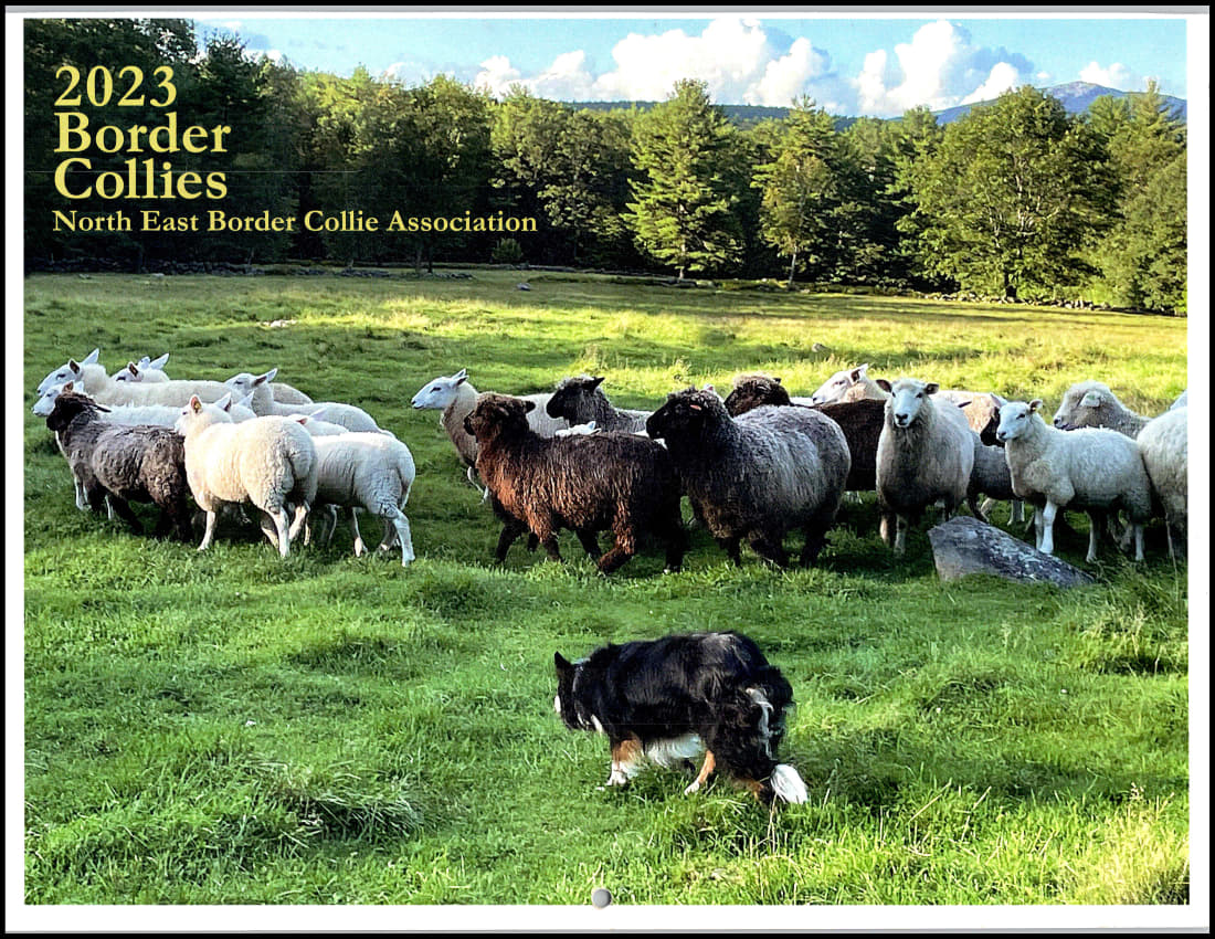 paused 2023-cov_1.jpg