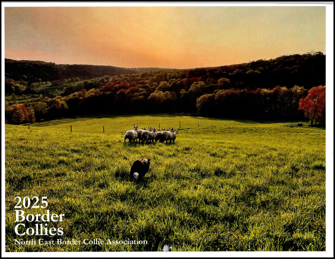 paused 2025-cov_1.jpg