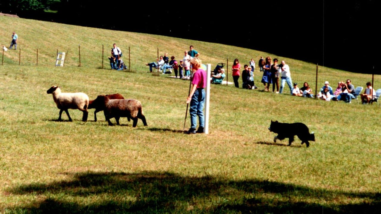 paused 1994-fosterfields.jpg