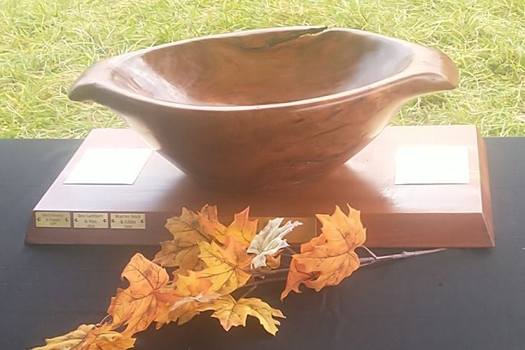 paused fall-foliage-trophy.jpg